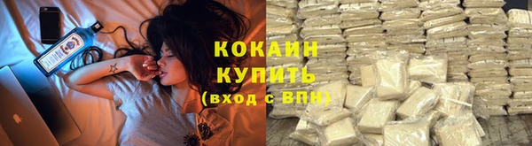 ПСИЛОЦИБИНОВЫЕ ГРИБЫ Новодвинск