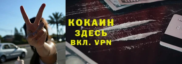 ПСИЛОЦИБИНОВЫЕ ГРИБЫ Новодвинск