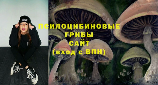 синтетический гашиш Новозыбков