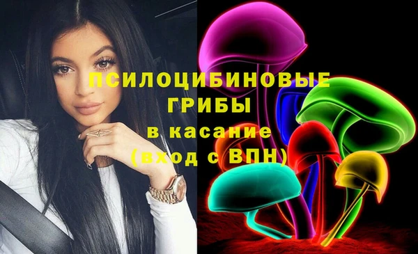 ПСИЛОЦИБИНОВЫЕ ГРИБЫ Новодвинск