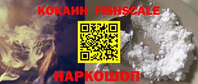 крисы Кулебаки