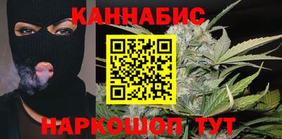 крисы Кулебаки