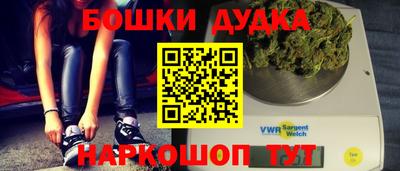 крисы Кулебаки