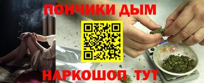 крисы Кулебаки